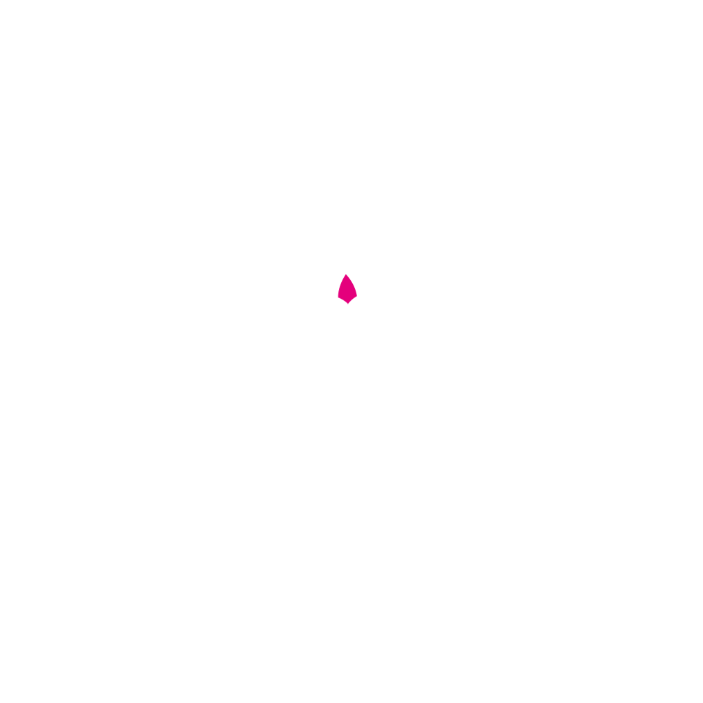 Saraswati-animation-in-homepage